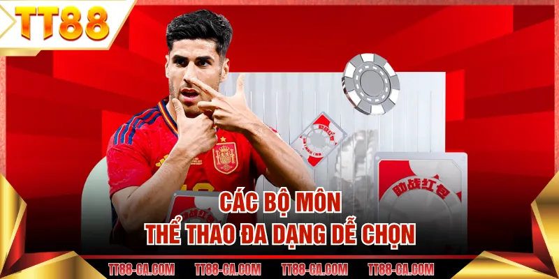 Các bộ môn thể thao đa dạng dễ chọn