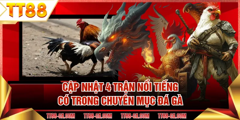 Cập nhật 4 trận nổi tiếng có trong chuyên mục đá gà