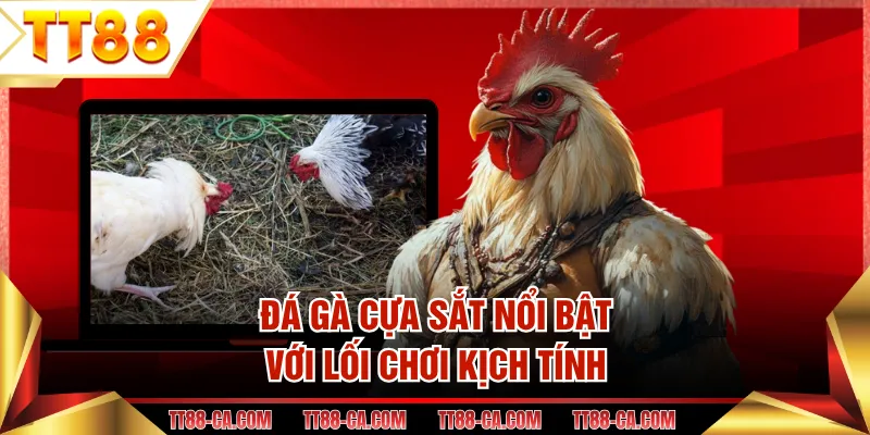 Đá gà cựa sắt nổi bật với lối chơi kịch tính