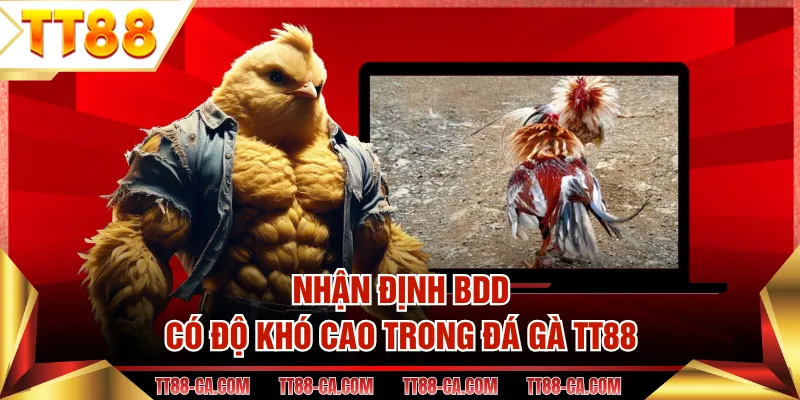 Nhận định BDD có độ khó cao trong đá gà TT88