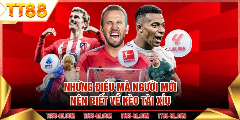 Những điều mà người mới nên biết về kèo tài xỉu