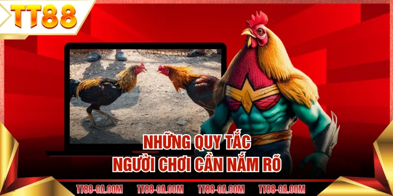 Những quy tắc người chơi cần nắm rõ