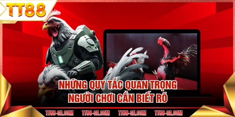 Những quy tắc quan trọng người chơi cần biết rõ