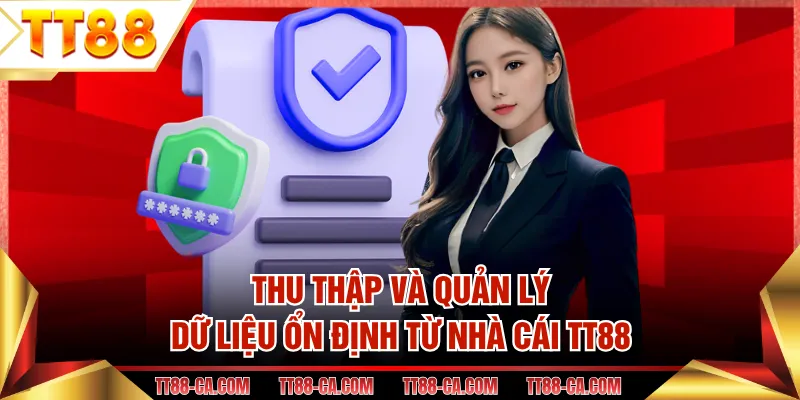 Thu thập và quản lý dữ liệu ổn định từ nhà cái TT88