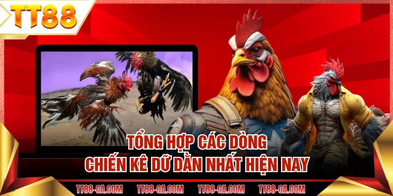 Tổng hợp các dòng chiến kê dữ dằn nhất hiện nay