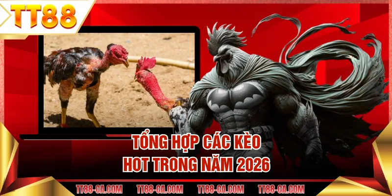 Tổng hợp các kèo hot trong năm 2026