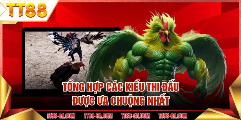 Tổng hợp các kiểu thi đấu được ưa chuộng nhất