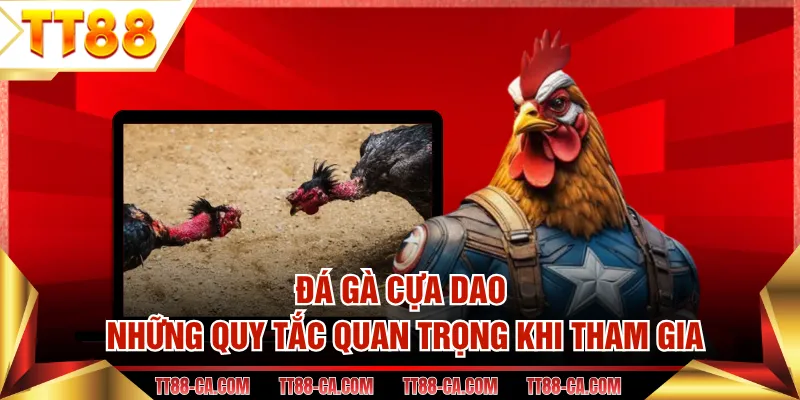Đá Gà Cựa Dao - Những Quy Tắc Quan Trọng Khi Tham Gia